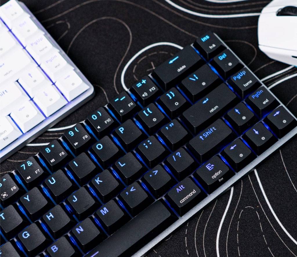 Paradox Gaming