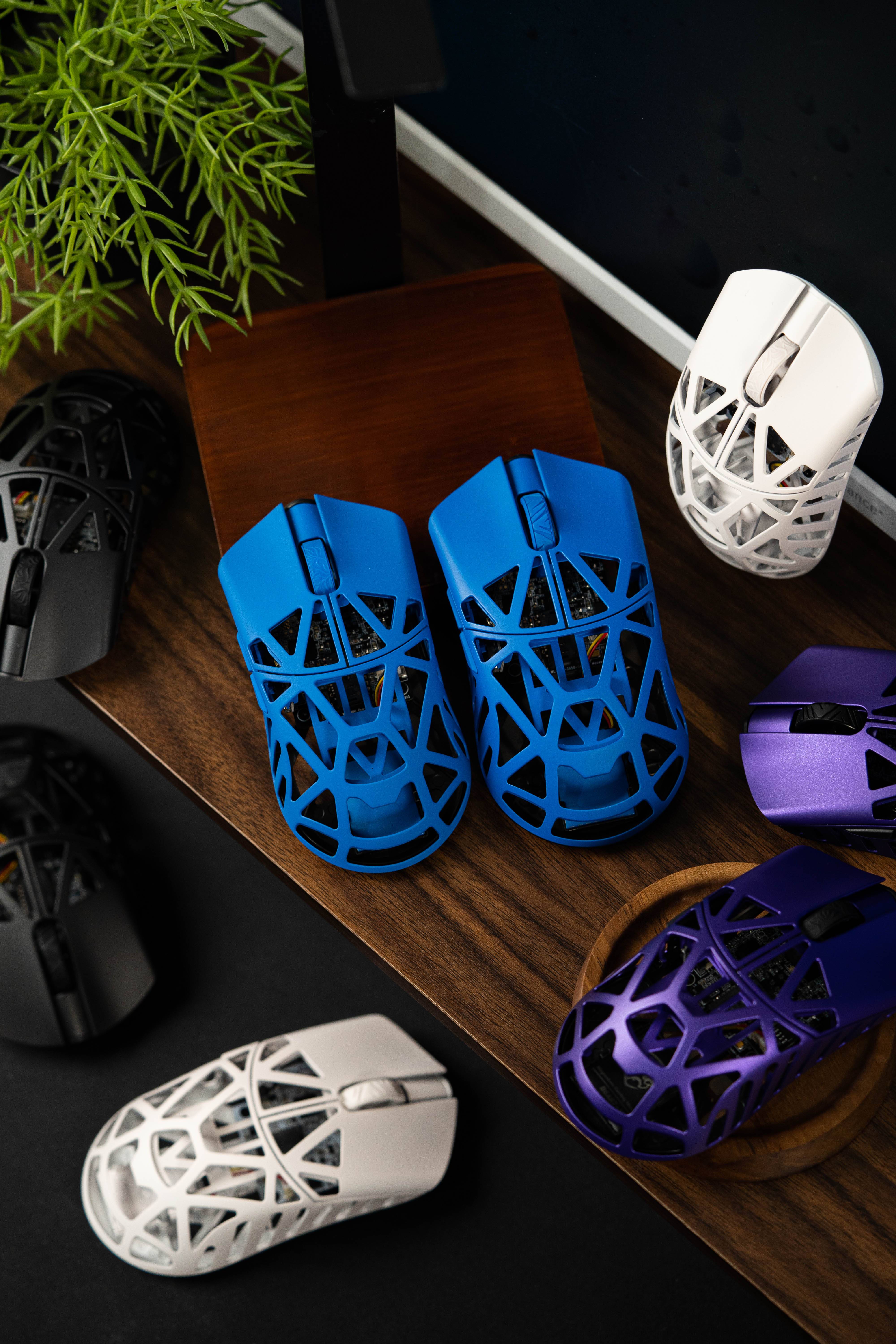 WL Mouse